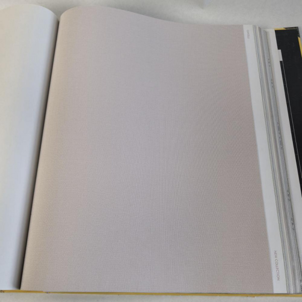 Andrea Rossi Cavolli 54420-5