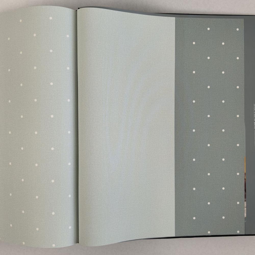 Andrea Rossi Spectrum Box 54455-11