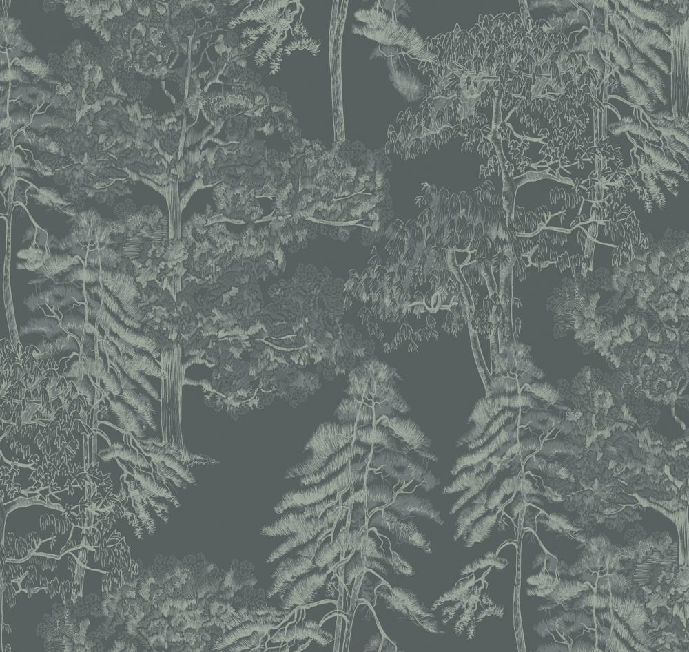 Milassa Ambient AM5 008 Milassa Ambient AM5 008