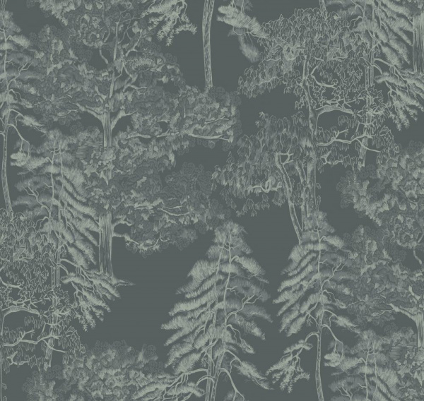 Milassa Ambient AM5 008 Milassa Ambient AM5 008