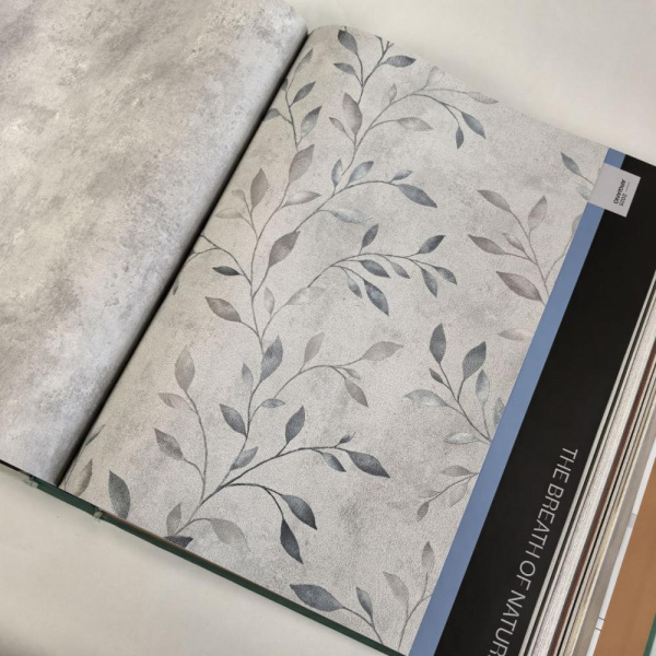 Alessandro Allori Argiano 15026-6