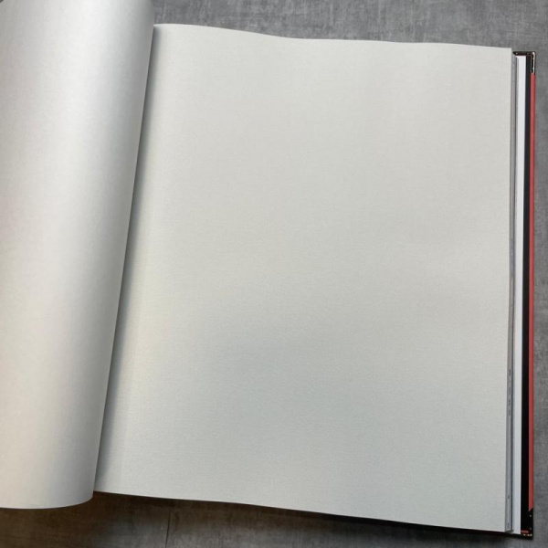 Andrea Rossi Spectrum Pro 54385-2